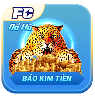 BÁO